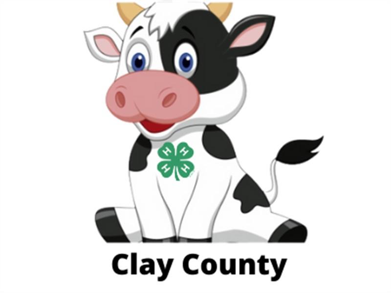 Logo for 2026 Clay County Fair