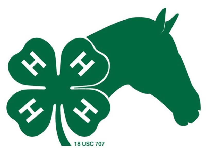 Logo for 2026 South Dakota State 4-H Horse Show